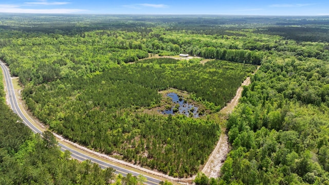 5653 Wire Rd, Branchville, SC 29432 - birds eye view of property featuring a view of trees and a water view