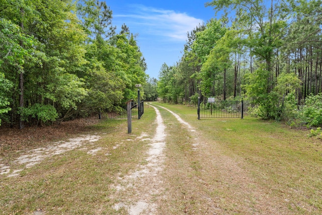 5653 Wire Rd, Branchville, SC 29432 - view of road featuring a view of trees