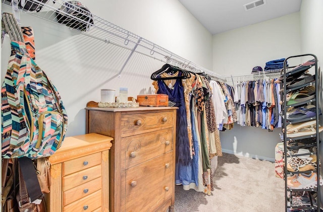 266 Torslanda Ln, Summerville, SC 29486 - walk in closet featuring carpet