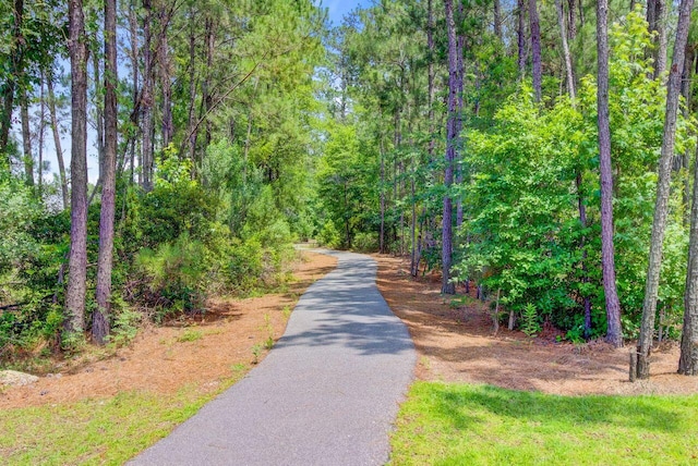 266 Torslanda Ln, Summerville, SC 29486 - view of property's community with asphalt driveway and a forest view