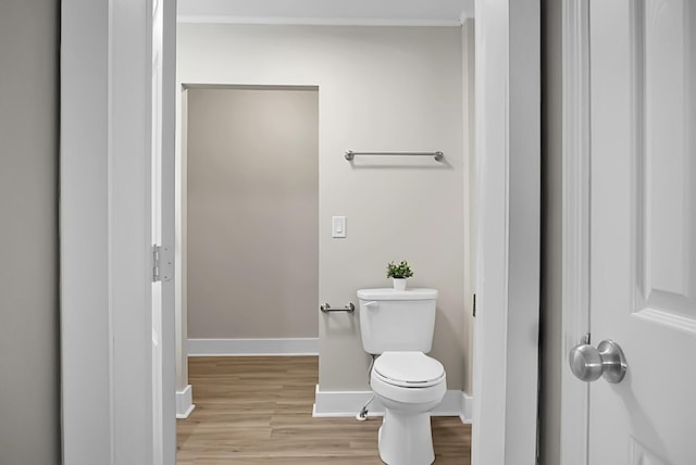 bathroom featuring toilet and wood-type flooring