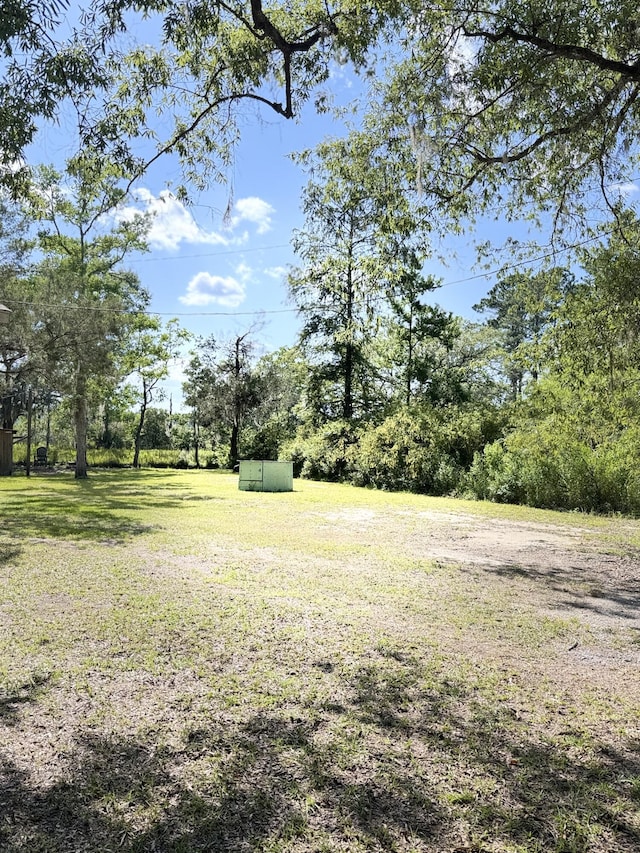 4589 Prices Bridge Ln, Walterboro, SC 29488 - view of green lawn featuring a storage unit