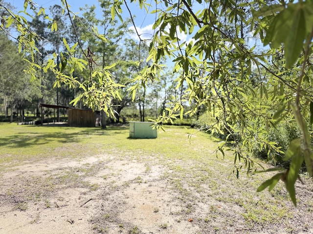 4589 Prices Bridge Ln, Walterboro, SC 29488 - view of green lawn