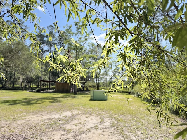4589 Prices Bridge Ln, Walterboro, SC 29488 - view of green lawn