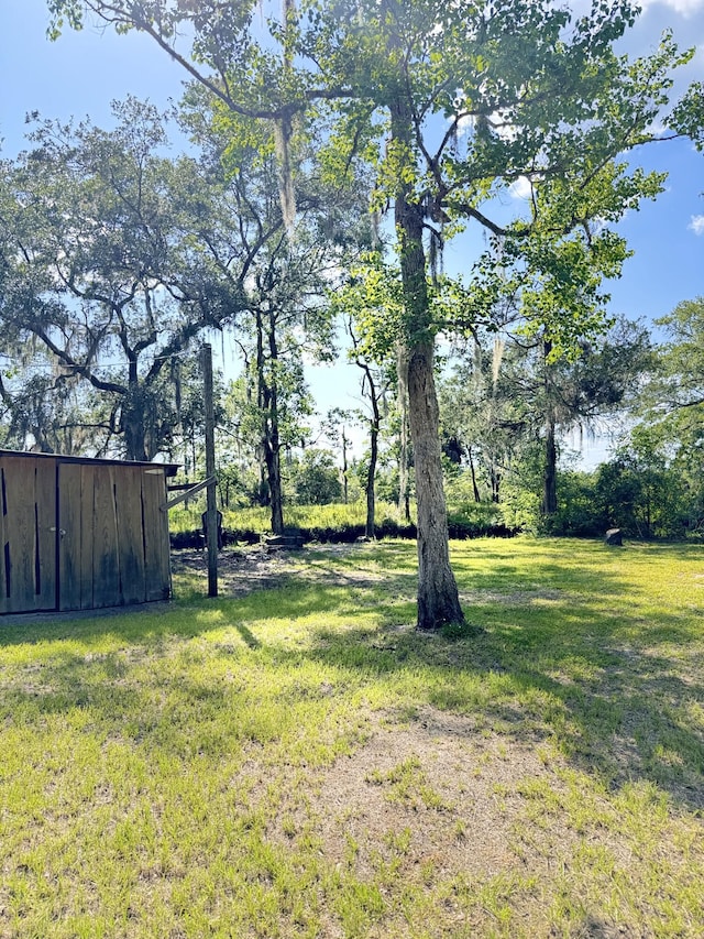 4589 Prices Bridge Ln, Walterboro, SC 29488 - view of green lawn