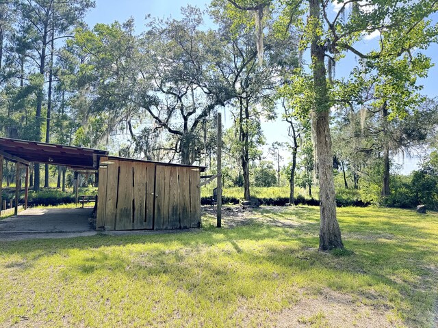 4589 Prices Bridge Ln, Walterboro, SC 29488 - view of grassy yard