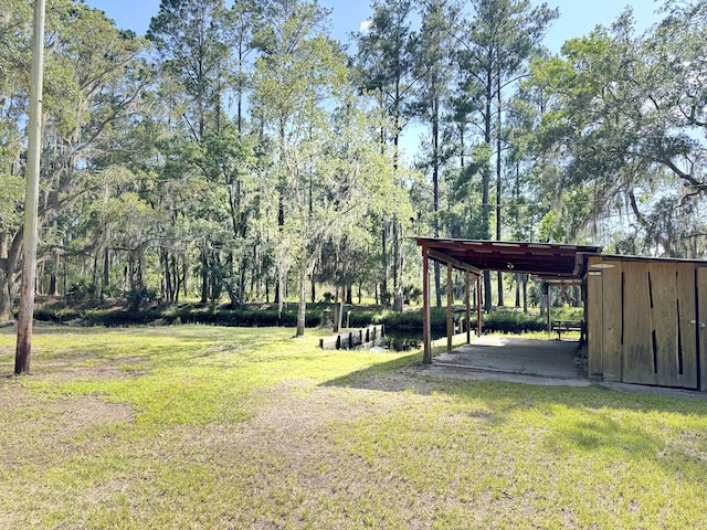 4589 Prices Bridge Ln, Walterboro, SC 29488 - view of green lawn