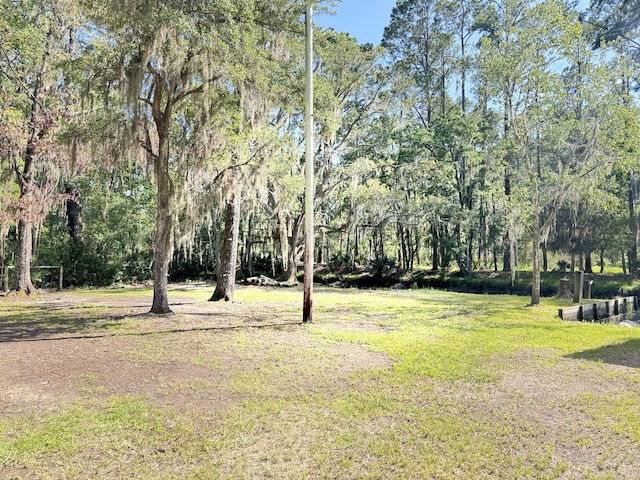4589 Prices Bridge Ln, Walterboro, SC 29488 - view of green lawn