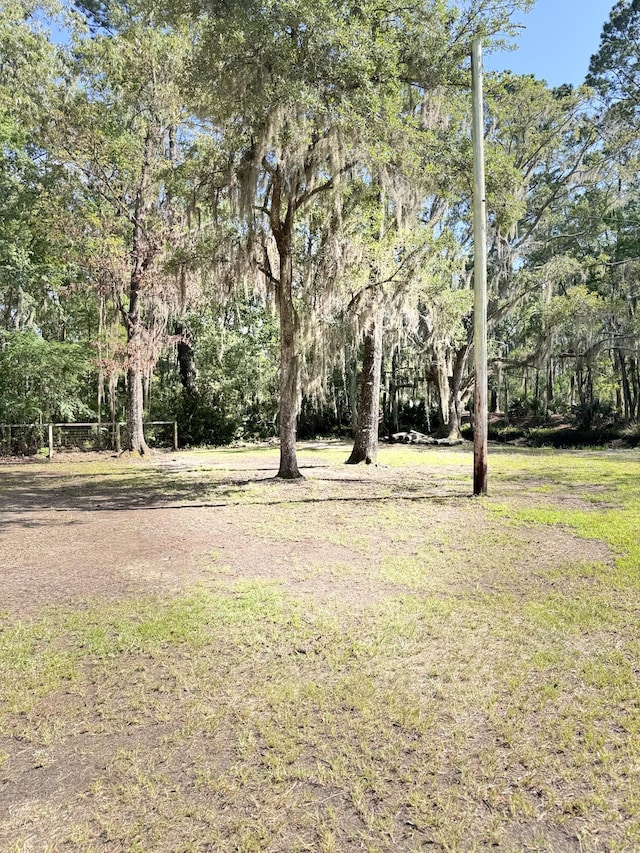 4589 Prices Bridge Ln, Walterboro, SC 29488 - view of grassy yard