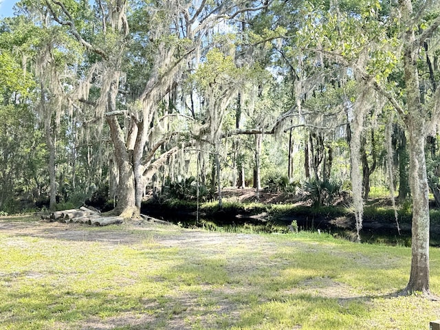 4589 Prices Bridge Ln, Walterboro, SC 29488 - view of green lawn