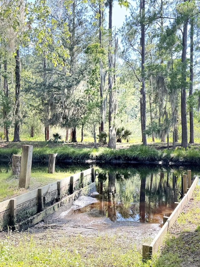 4589 Prices Bridge Ln, Walterboro, SC 29488 - view of yard