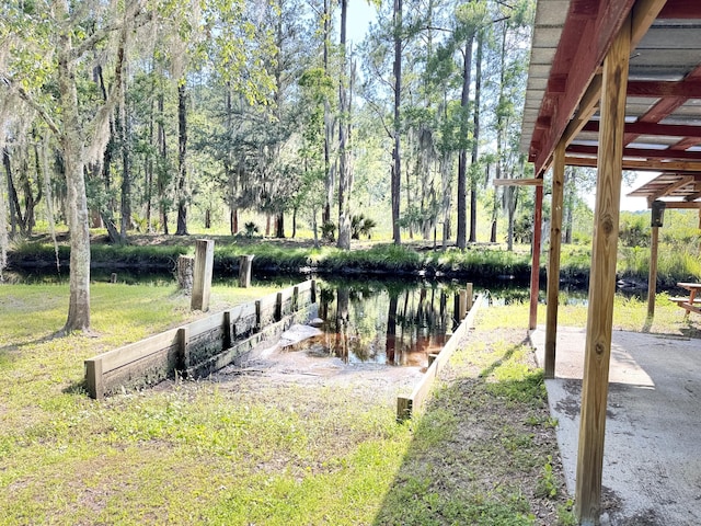 4589 Prices Bridge Ln, Walterboro, SC 29488 - view of yard