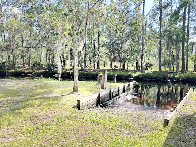 4589 Prices Bridge Ln, Walterboro, SC 29488 - view of yard