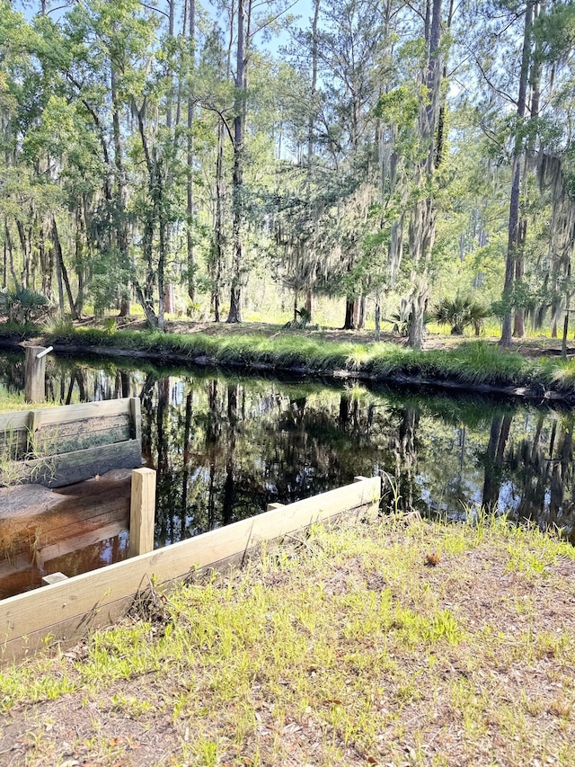 4589 Prices Bridge Ln, Walterboro, SC 29488 - view of dock