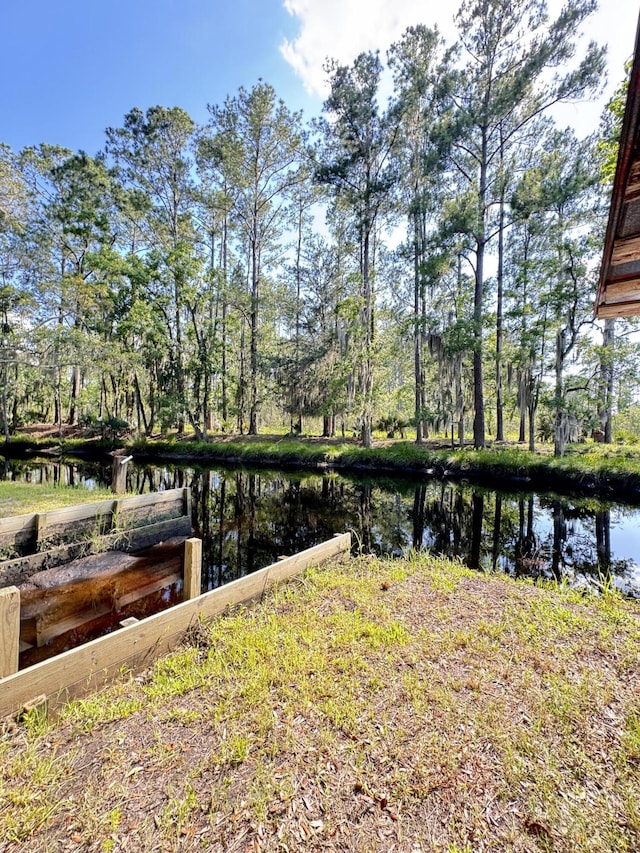 4589 Prices Bridge Ln, Walterboro, SC 29488 - dock with a water view