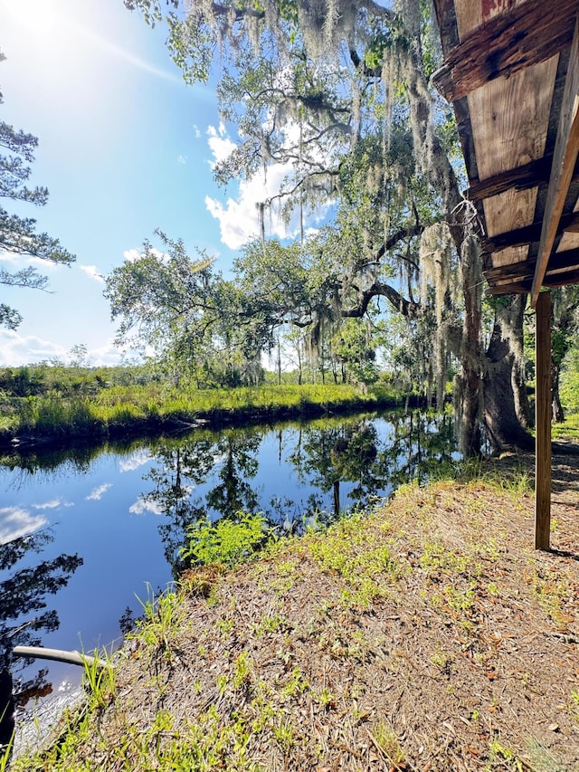 4589 Prices Bridge Ln, Walterboro, SC 29488 - water view