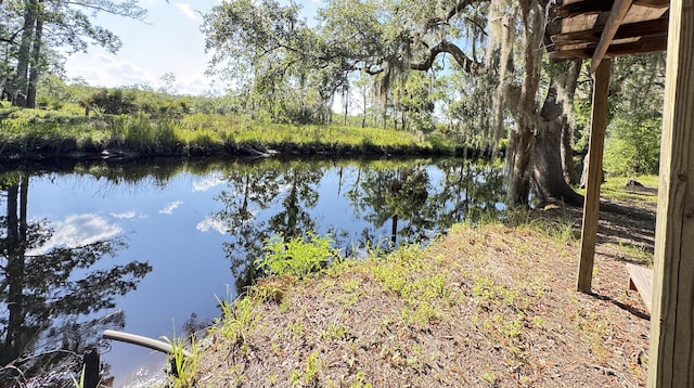4589 Prices Bridge Ln, Walterboro, SC 29488 - water view