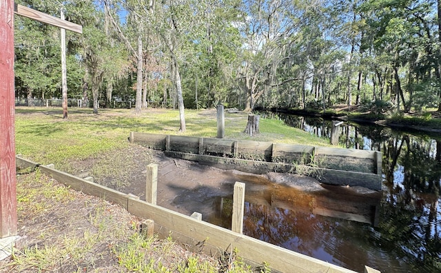 4589 Prices Bridge Ln, Walterboro, SC 29488 - view of grassy yard with a water view