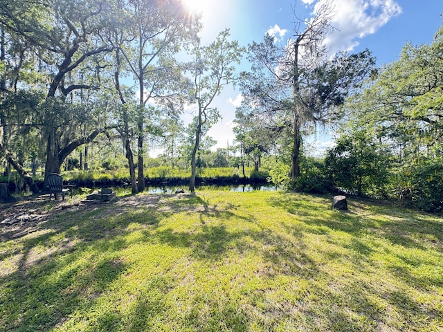 4589 Prices Bridge Ln, Walterboro, SC 29488 - view of green lawn