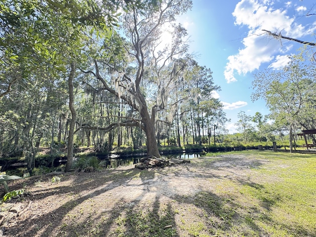 4589 Prices Bridge Ln, Walterboro, SC 29488 - view of yard
