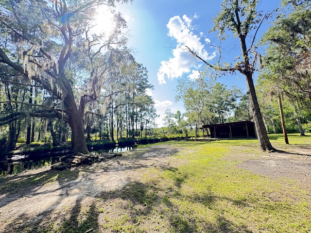 4589 Prices Bridge Ln, Walterboro, SC 29488 - view of yard