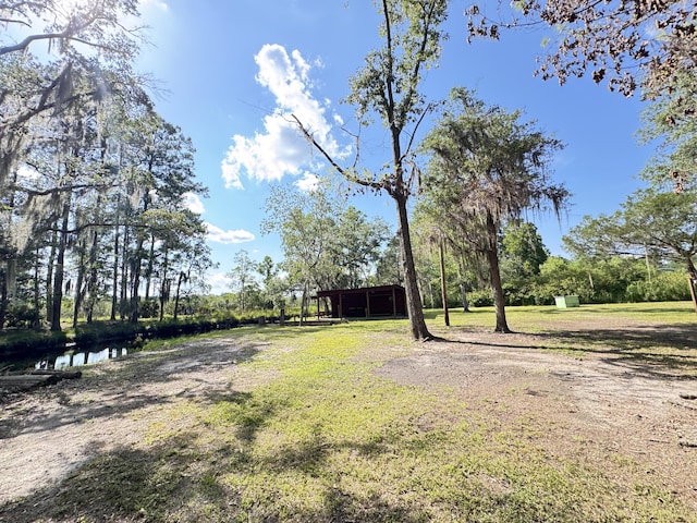 4589 Prices Bridge Ln, Walterboro, SC 29488 - view of yard featuring an outdoor structure and a pole building