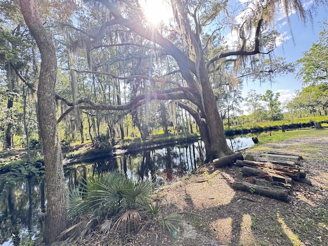 4589 Prices Bridge Ln, Walterboro, SC 29488 - view of yard with a water view