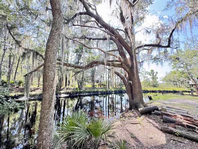 4589 Prices Bridge Ln, Walterboro, SC 29488 - water view