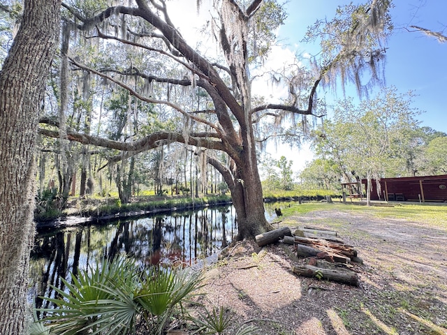 4589 Prices Bridge Ln, Walterboro, SC 29488 - view of yard with a water view
