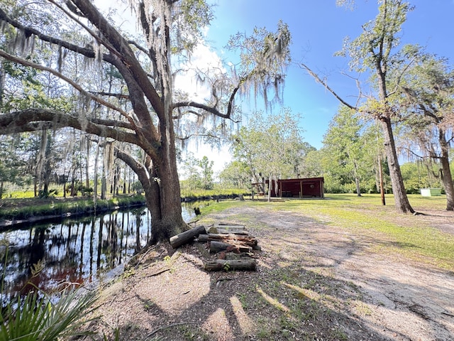 4589 Prices Bridge Ln, Walterboro, SC 29488 - view of yard with a water view