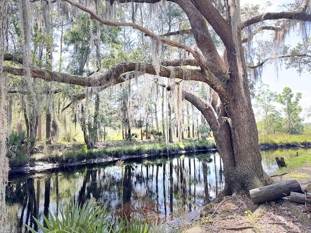 4589 Prices Bridge Ln, Walterboro, SC 29488 - water view featuring a heavily wooded area