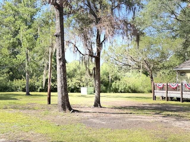 4589 Prices Bridge Ln, Walterboro, SC 29488 - view of grassy yard