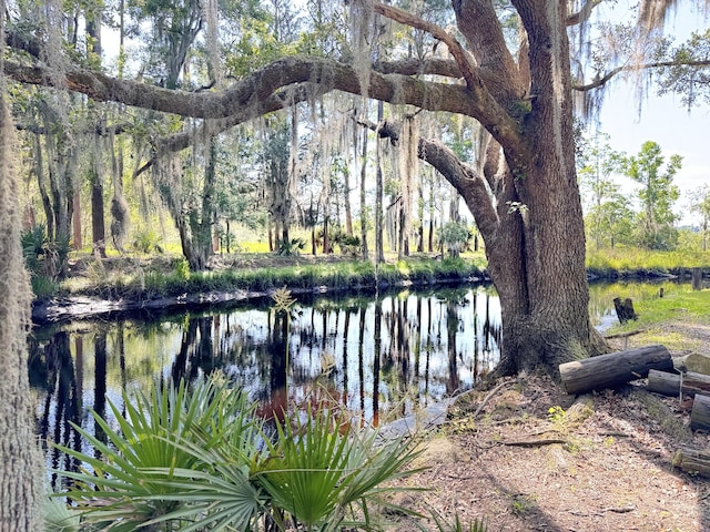 4589 Prices Bridge Ln, Walterboro, SC 29488 - water view
