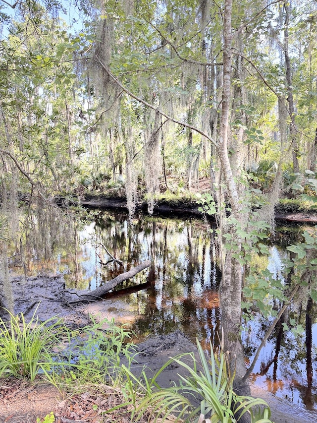 4589 Prices Bridge Ln, Walterboro, SC 29488 - view of nature