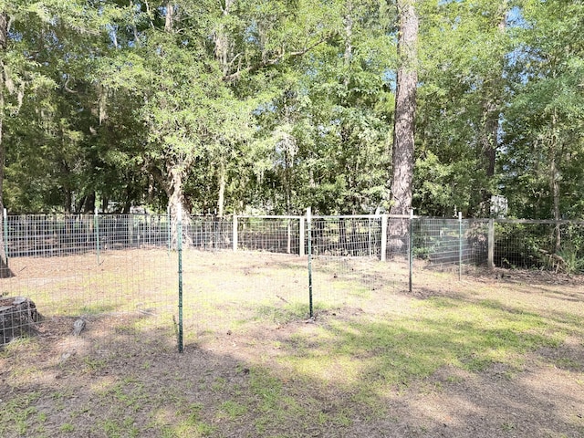 4589 Prices Bridge Ln, Walterboro, SC 29488 - view of yard