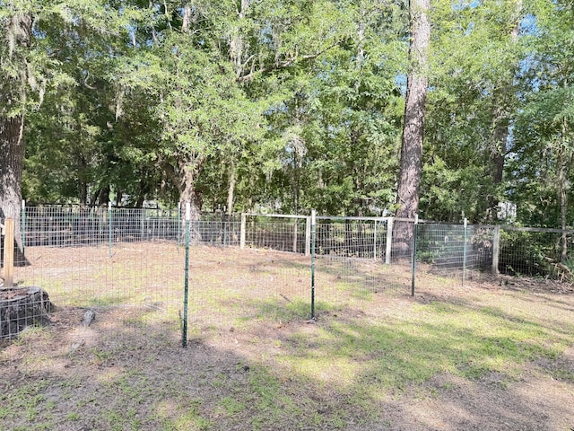 4589 Prices Bridge Ln, Walterboro, SC 29488 - view of yard