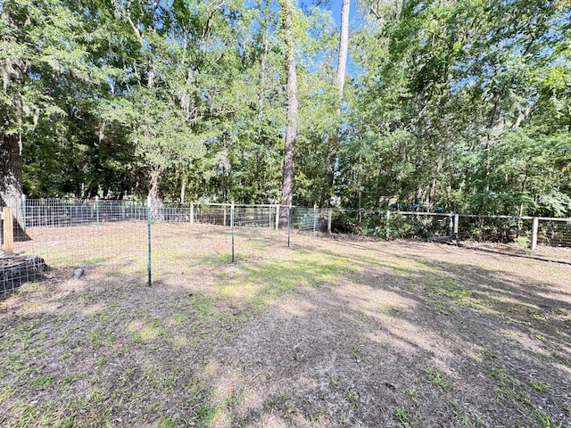 4589 Prices Bridge Ln, Walterboro, SC 29488 - view of yard