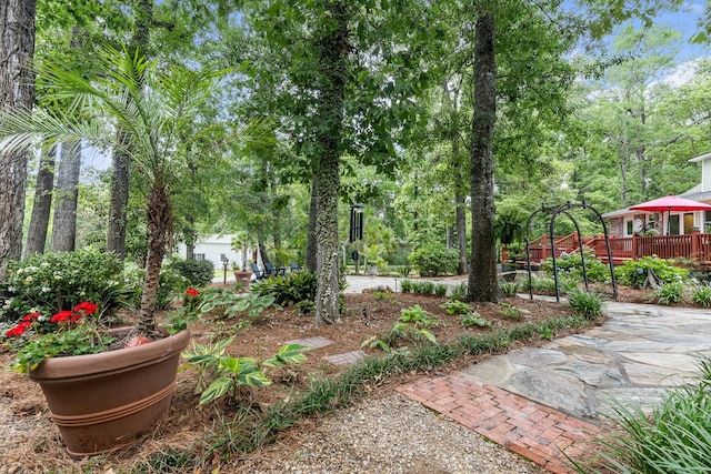 206 Chaussee Blvd, Summerville, SC 29483 - view of yard featuring a deck