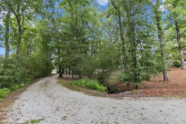 206 Chaussee Blvd, Summerville, SC 29483 - view of dirt / gravel road