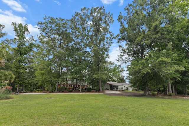 206 Chaussee Blvd, Summerville, SC 29483 - view of grassy yard