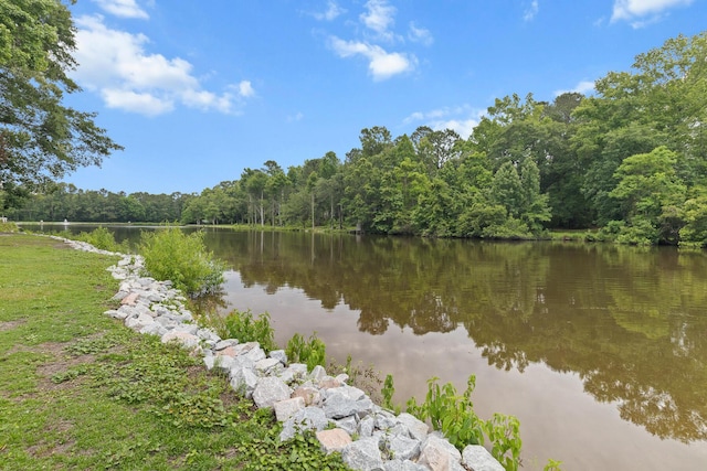 206 Chaussee Blvd, Summerville, SC 29483 - water view featuring a forest