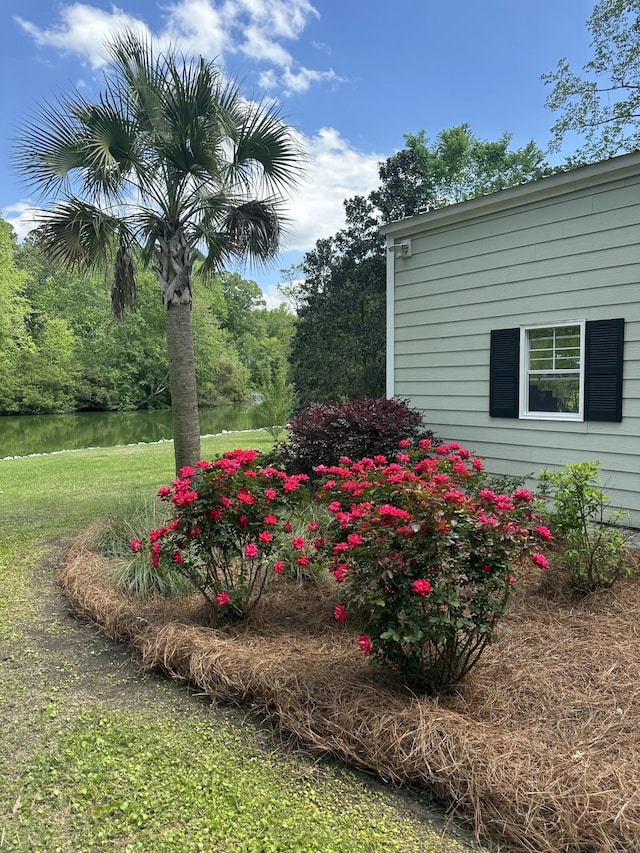 206 Chaussee Blvd, Summerville, SC 29483 - view of yard