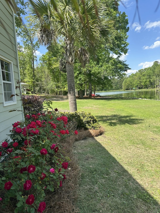 206 Chaussee Blvd, Summerville, SC 29483 - view of green lawn featuring a water view