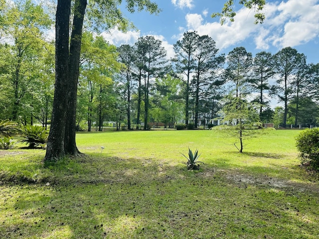 206 Chaussee Blvd, Summerville, SC 29483 - view of green lawn