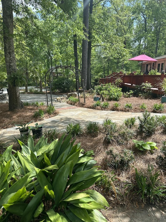 206 Chaussee Blvd, Summerville, SC 29483 - view of yard with a deck
