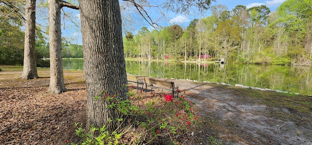 206 Chaussee Blvd, Summerville, SC 29483 - dock with a water view and a forest view