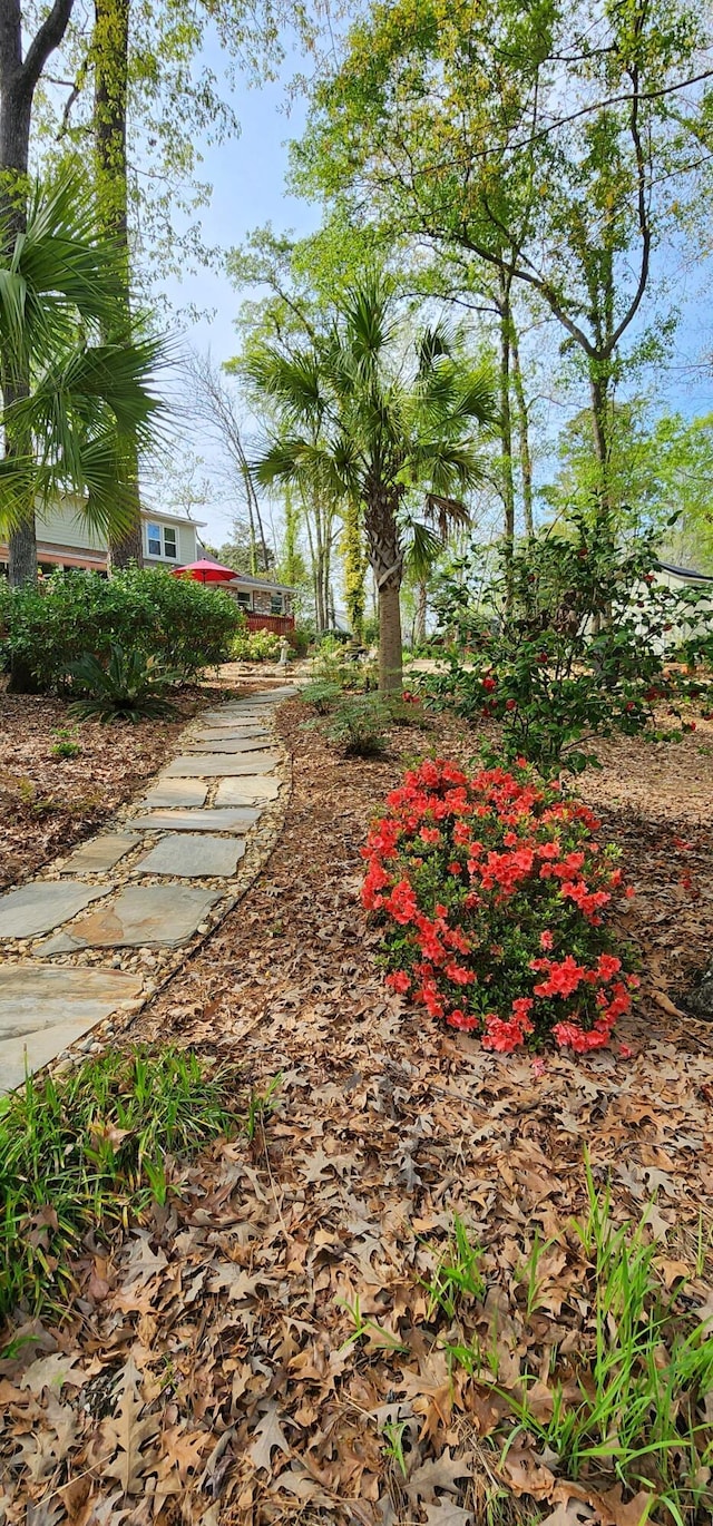 206 Chaussee Blvd, Summerville, SC 29483 - view of yard