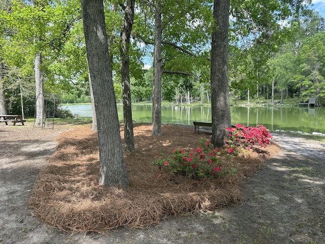 206 Chaussee Blvd, Summerville, SC 29483 - view of yard with a water view and view of wooded area