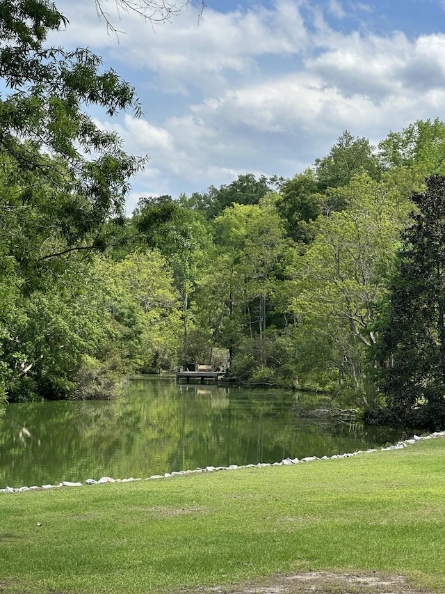 206 Chaussee Blvd, Summerville, SC 29483 - view of green lawn with a water view and a view of trees
