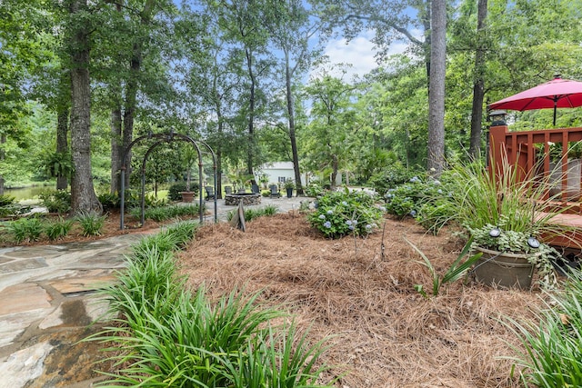 206 Chaussee Blvd, Summerville, SC 29483 - view of yard featuring view of wooded area
